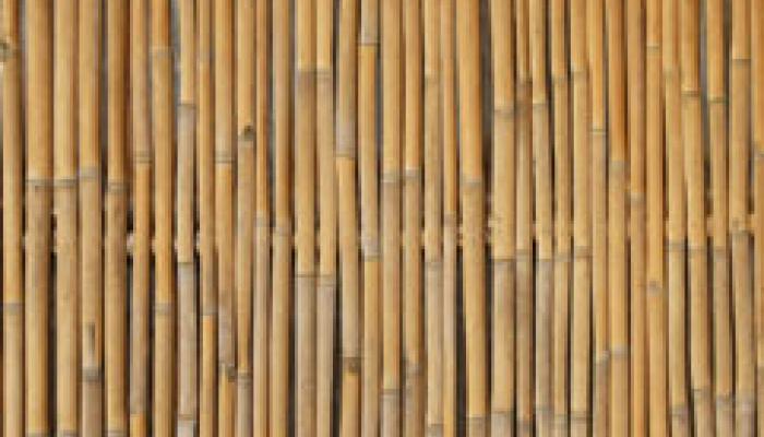 eco bamboo