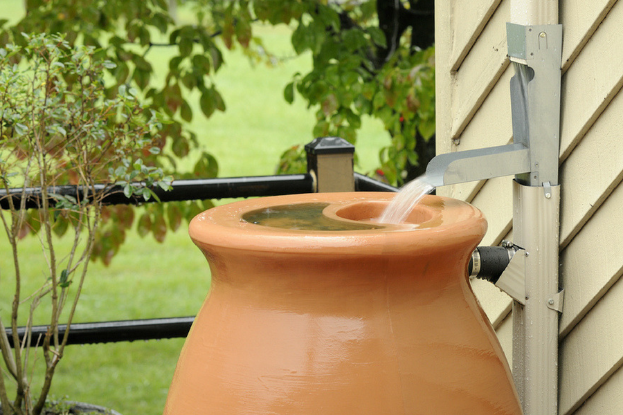 5 Best Eco-friendly Rain Barrels For The ‘Green Gardener’