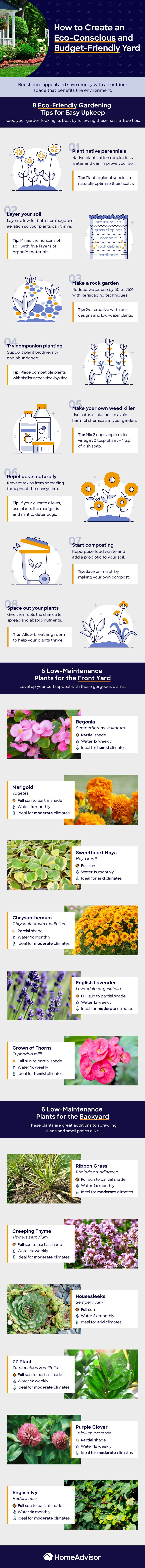 Infographic: Tips for an Eco-Friendly, Low-Maintenance Yard