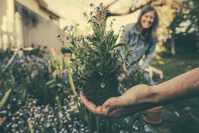 17 Genius Gardening Hacks That Will Change The Way You Garden Forever