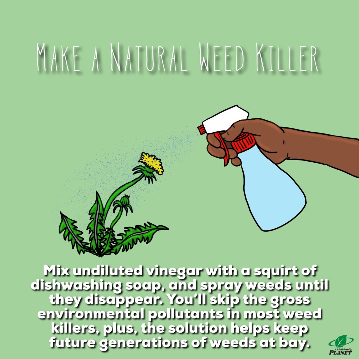 Make A Natural Weed Killer | Tuesday Tip