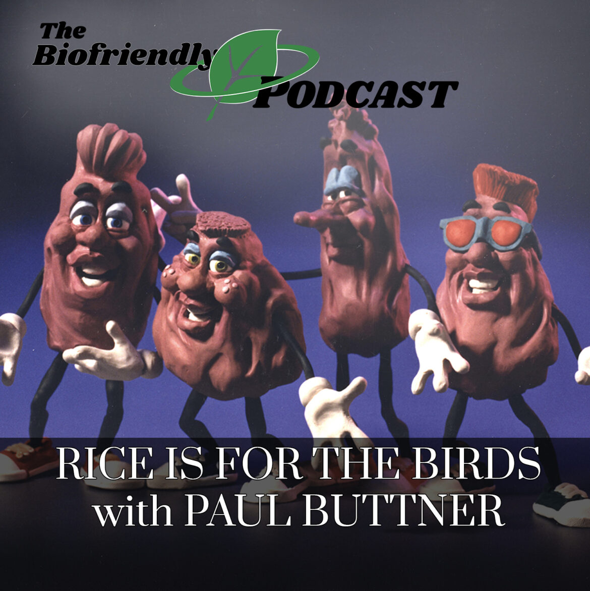 Rice Is For the Birds with Paul Buttner