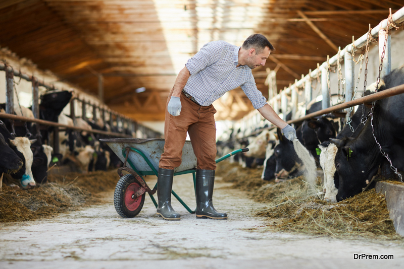 7 Ways To Upgrade Your Livestock Business