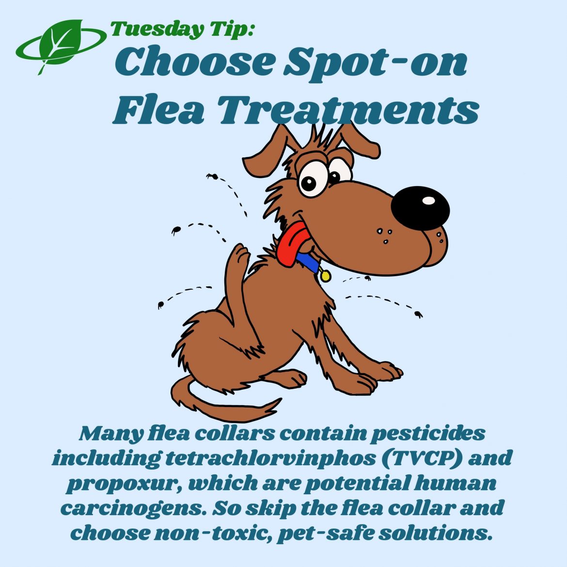 Choose Spot-on Flea Treatments | Tuesday Tip
