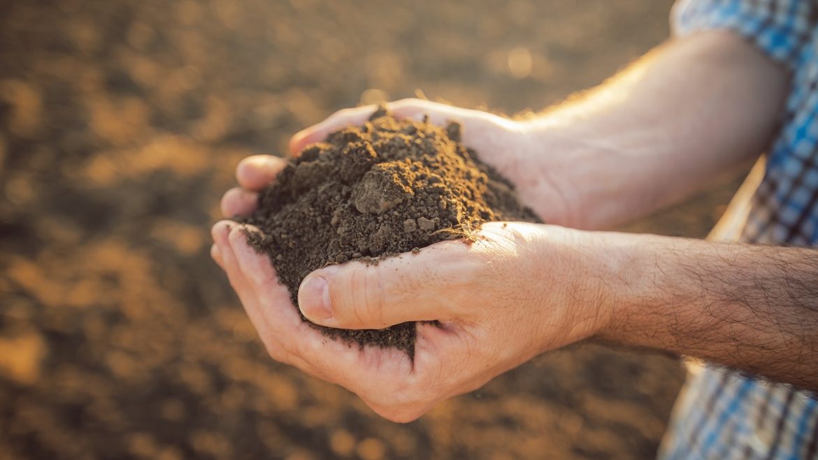 Soil Your Undies … To Find Out How Healthy Your Soil Is