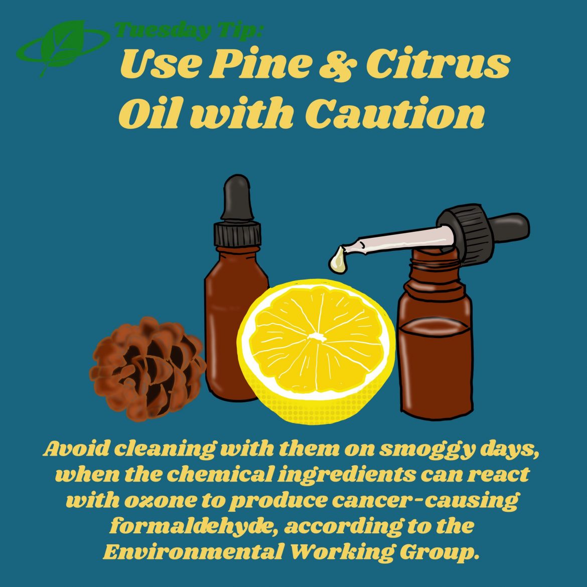 Use Pine and Citrus Oil with Caution | Tuesday Tip