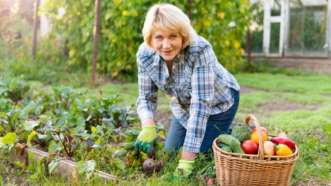 How To Start a Regenerative Garden in Your Backyard - Eco Thinker News