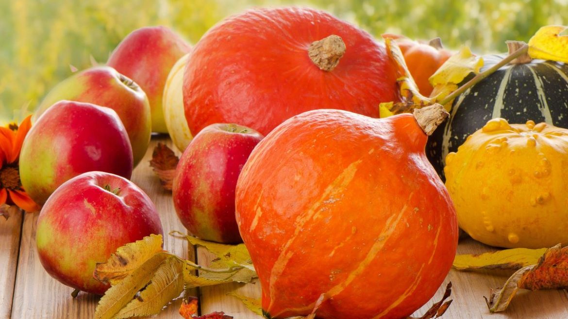 Maven Moment: Fall Pumpkins and Apples!