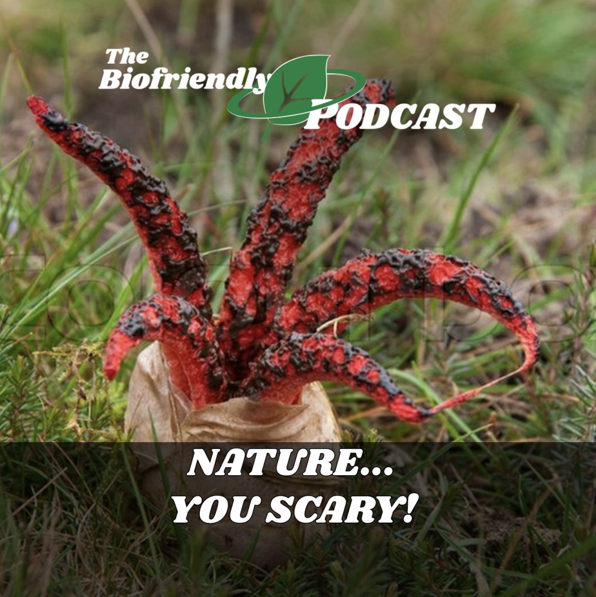 Nature… You Scary!