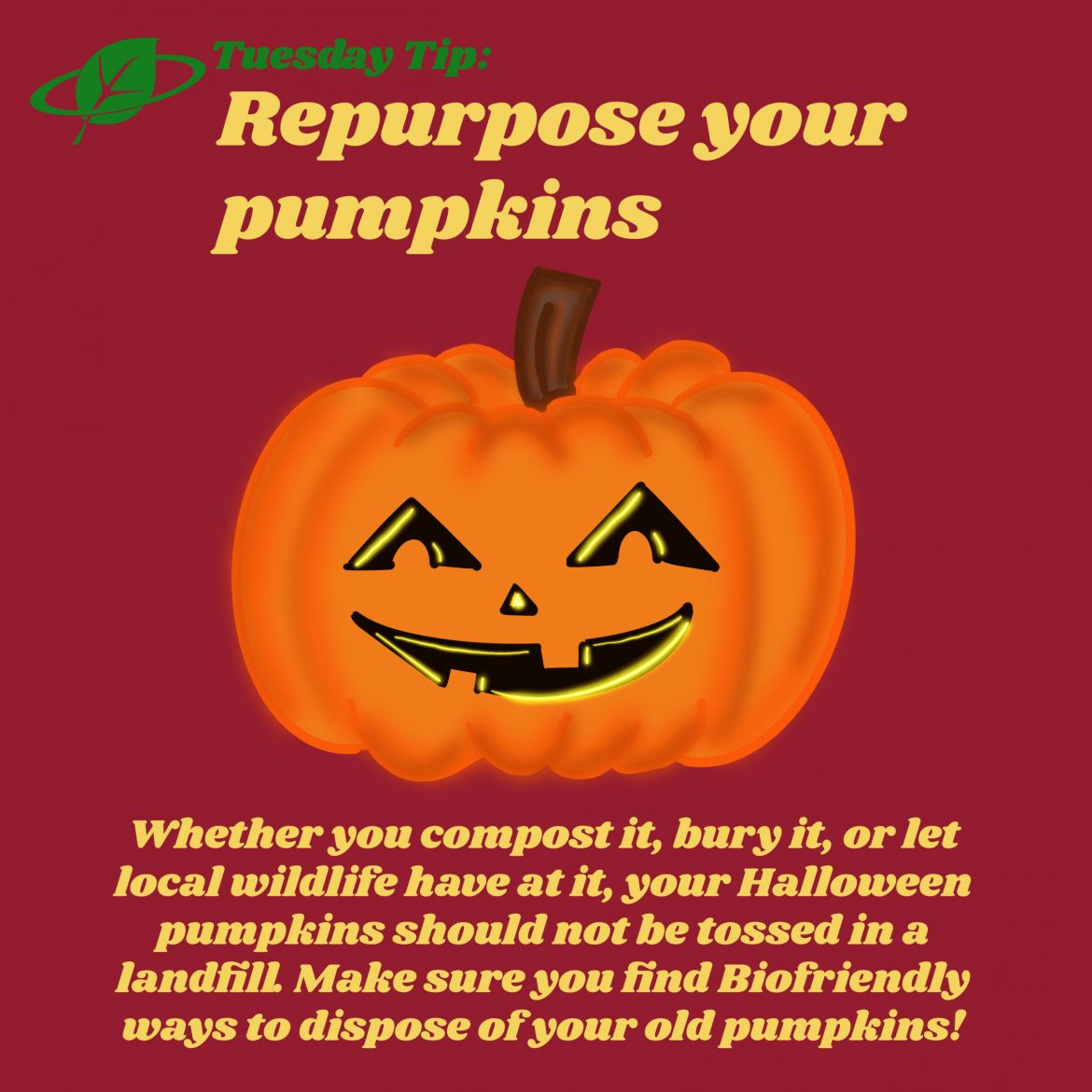 Repurpose your pumpkins | Tuesday Tip