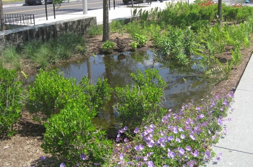 Design Your Landscaping to Handle Stormwater Runoff