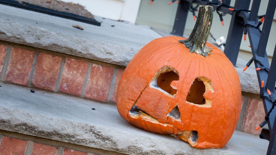 Halloween’s Over, Compost Your Pumpkin!
