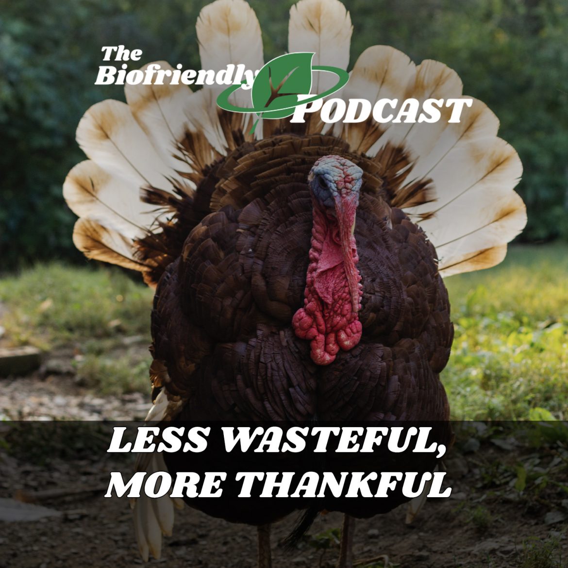 Less Wasteful, More Thankful
