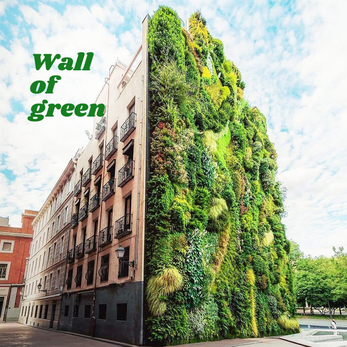 Wall of green