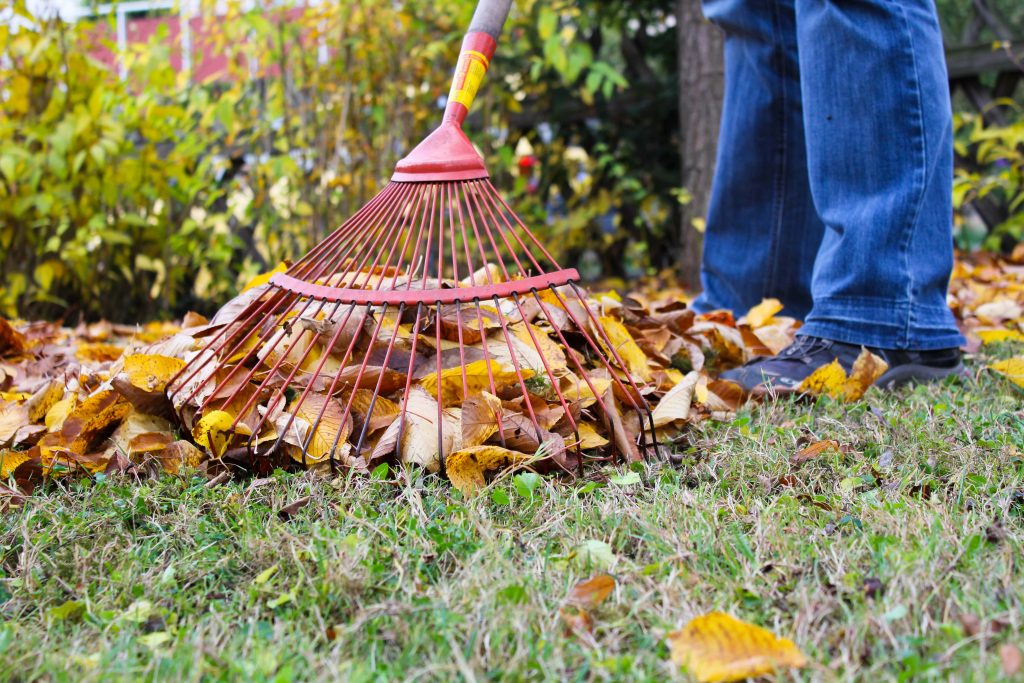 5 Smart Ways To Dispose Of Your Gardening Waste