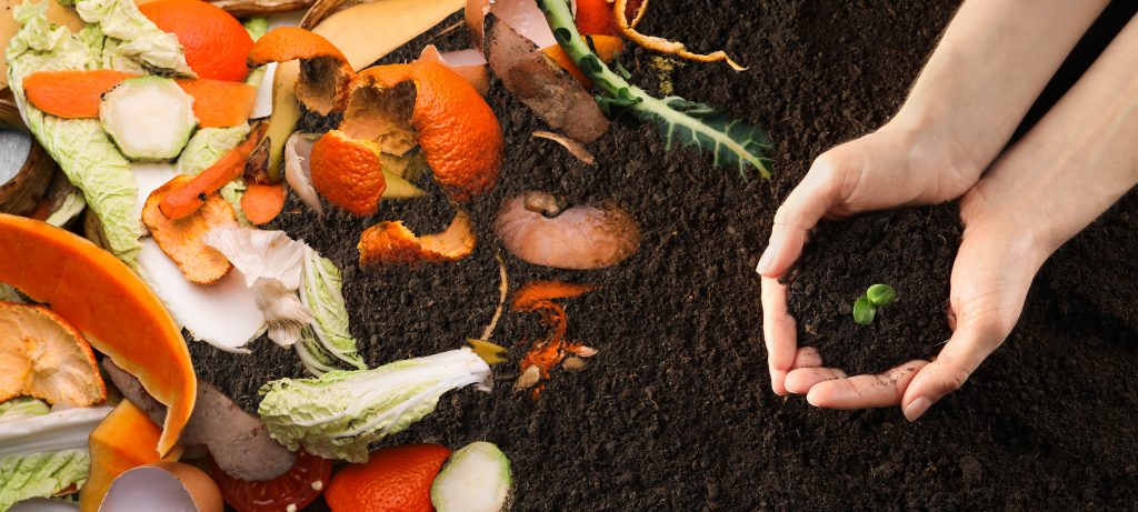A Homeowner’s Guide To Composting For The First Time