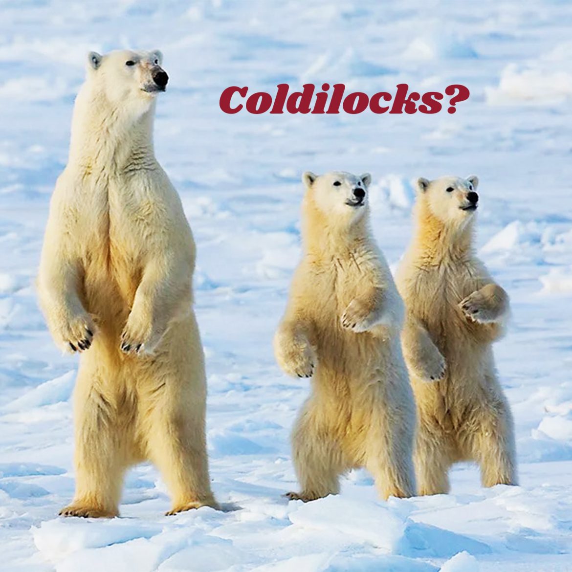Coldilocks?