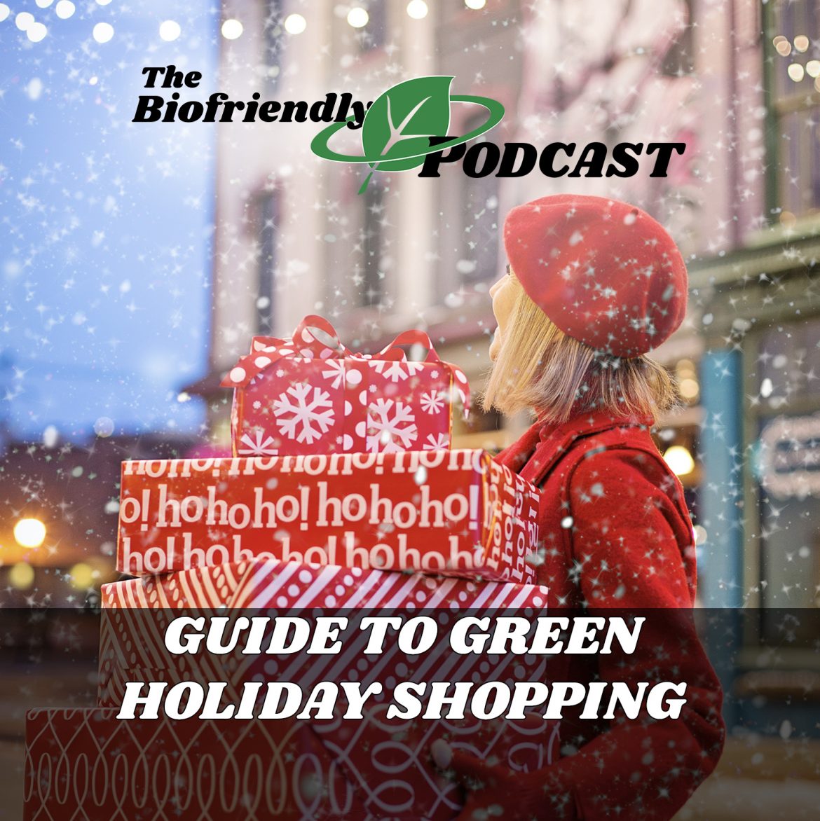Guide to Green Holiday Shopping