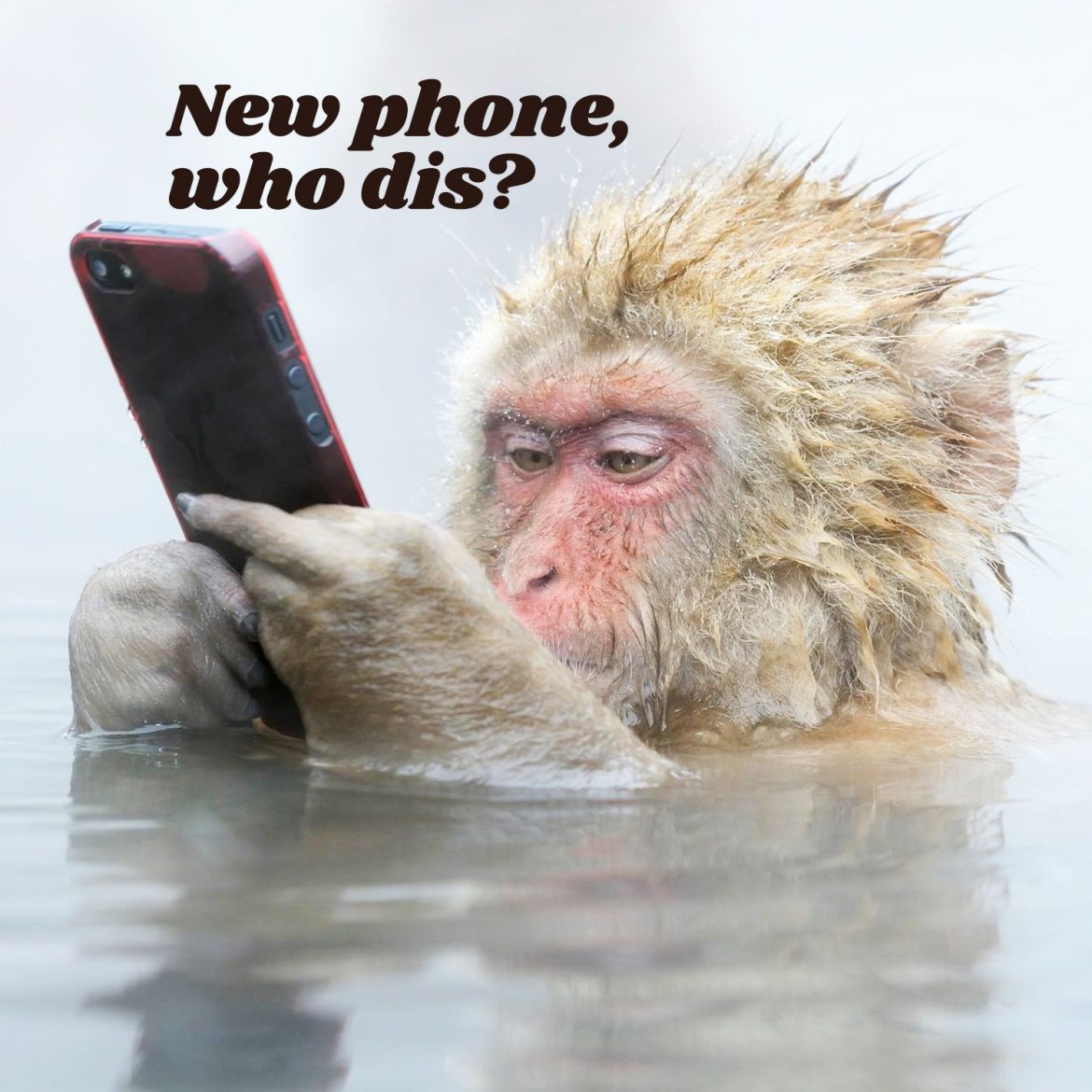 New phone, who dis?