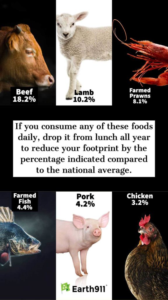 We Earthlings: Skip These Foods & Reduce Your Carbon Impact