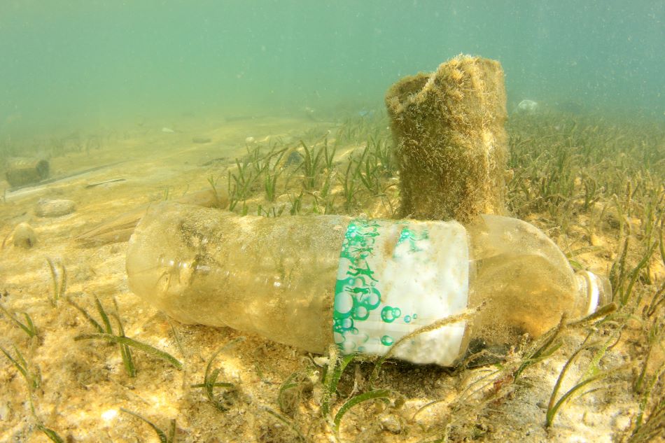 The State of the Plastic Bottle