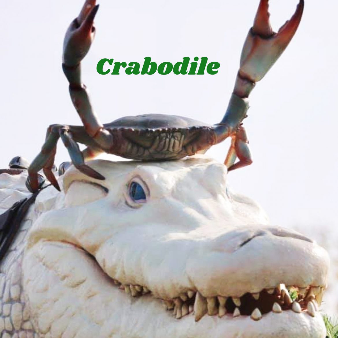 Crabodile