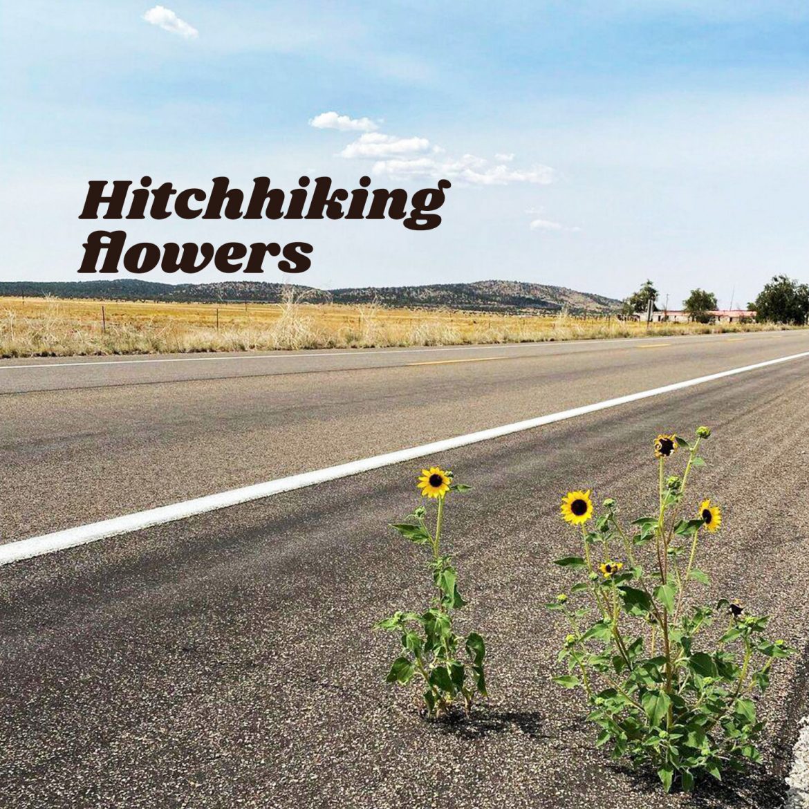 Hitchhiking flowers