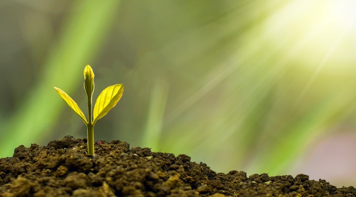 How To Sustainably Grow and Develop Your Business