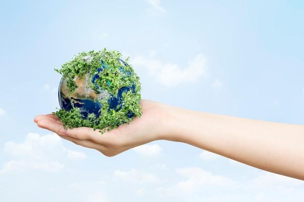What is Greenwashing & How to Avoid it in Your Portfolio?