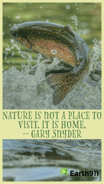 Earth911 Inspiration: Nature Is Not a Place To Visit. It Is Home.