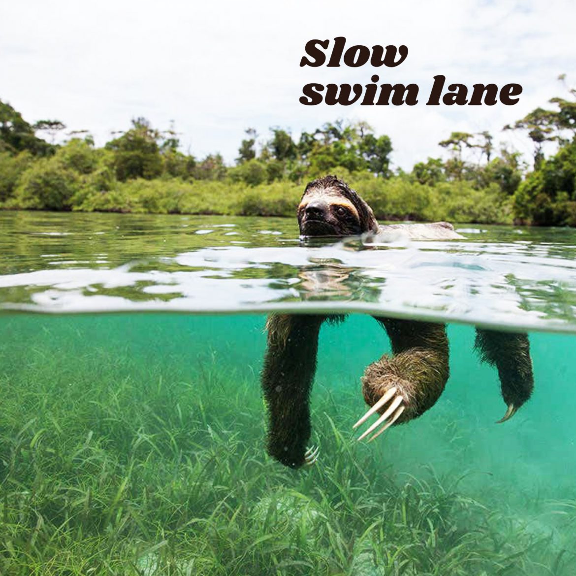 Slow swim lane