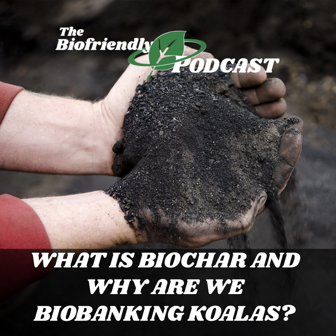What is BioChar?