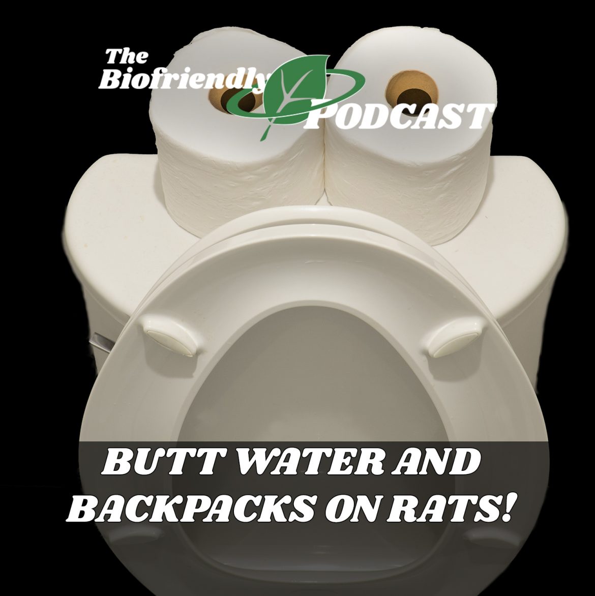 Butt Water and Backpacks on Rats!