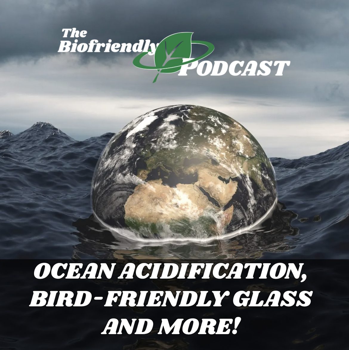Ocean Acidification, Bird-Friendly Glass and More!