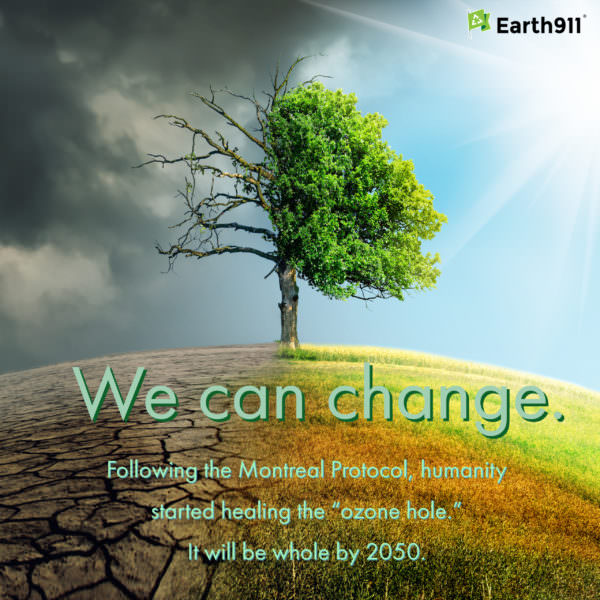 We Earthlings: We Can Change