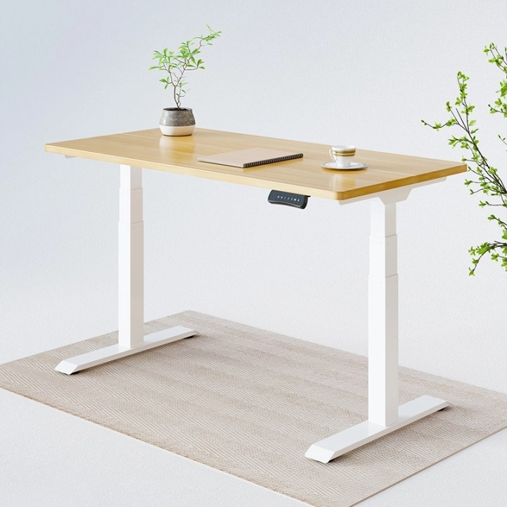 FlexiSpot Bamboo Standing Desk: Better for You and the Environment