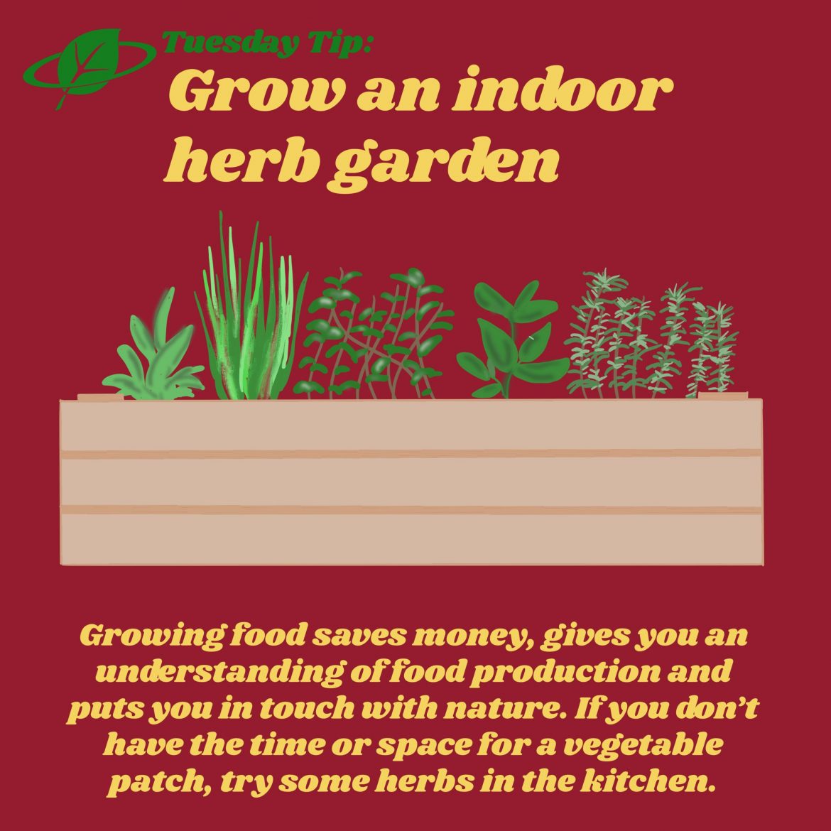 Grow an indoor herb garden | Tuesday Tip