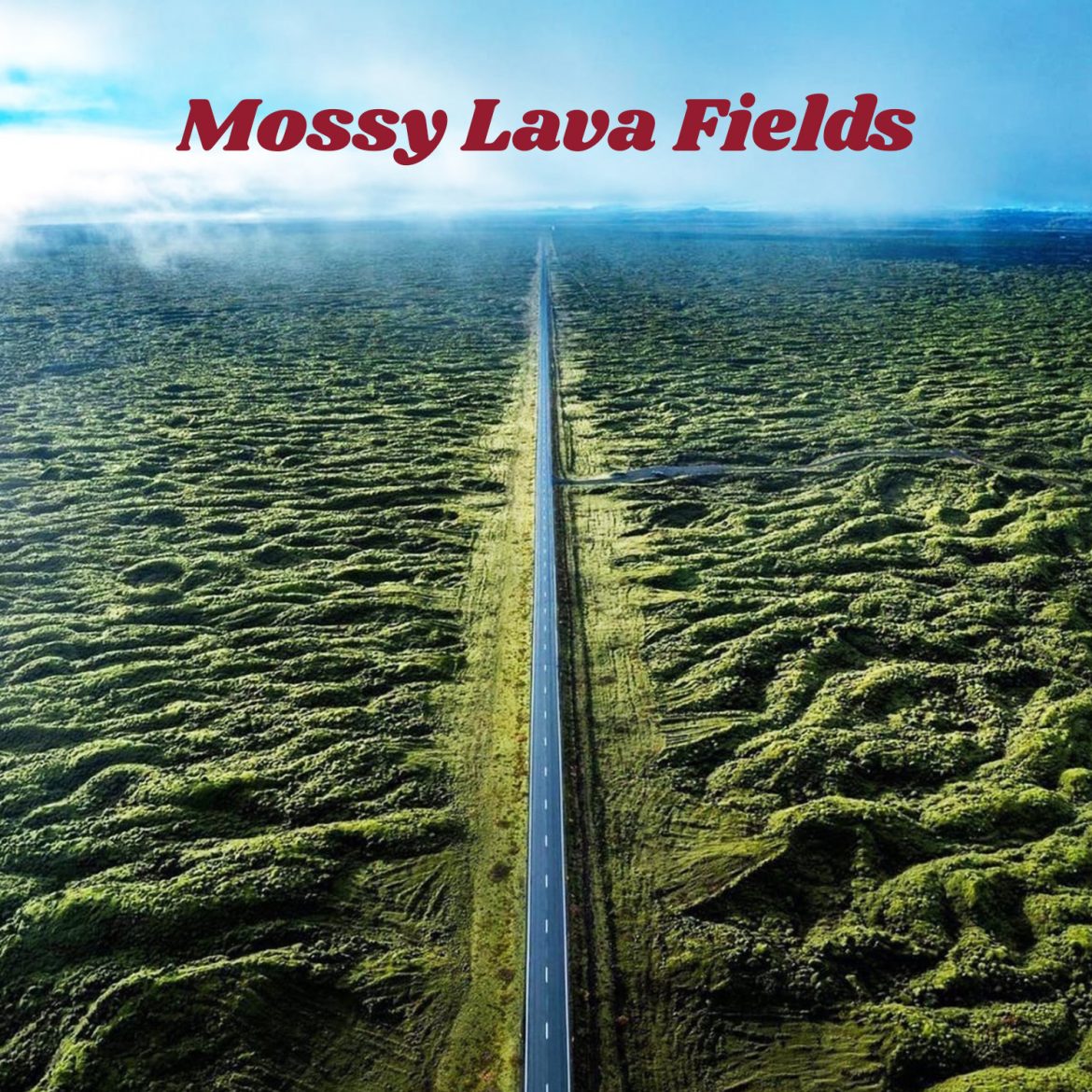 Mossy lava fields