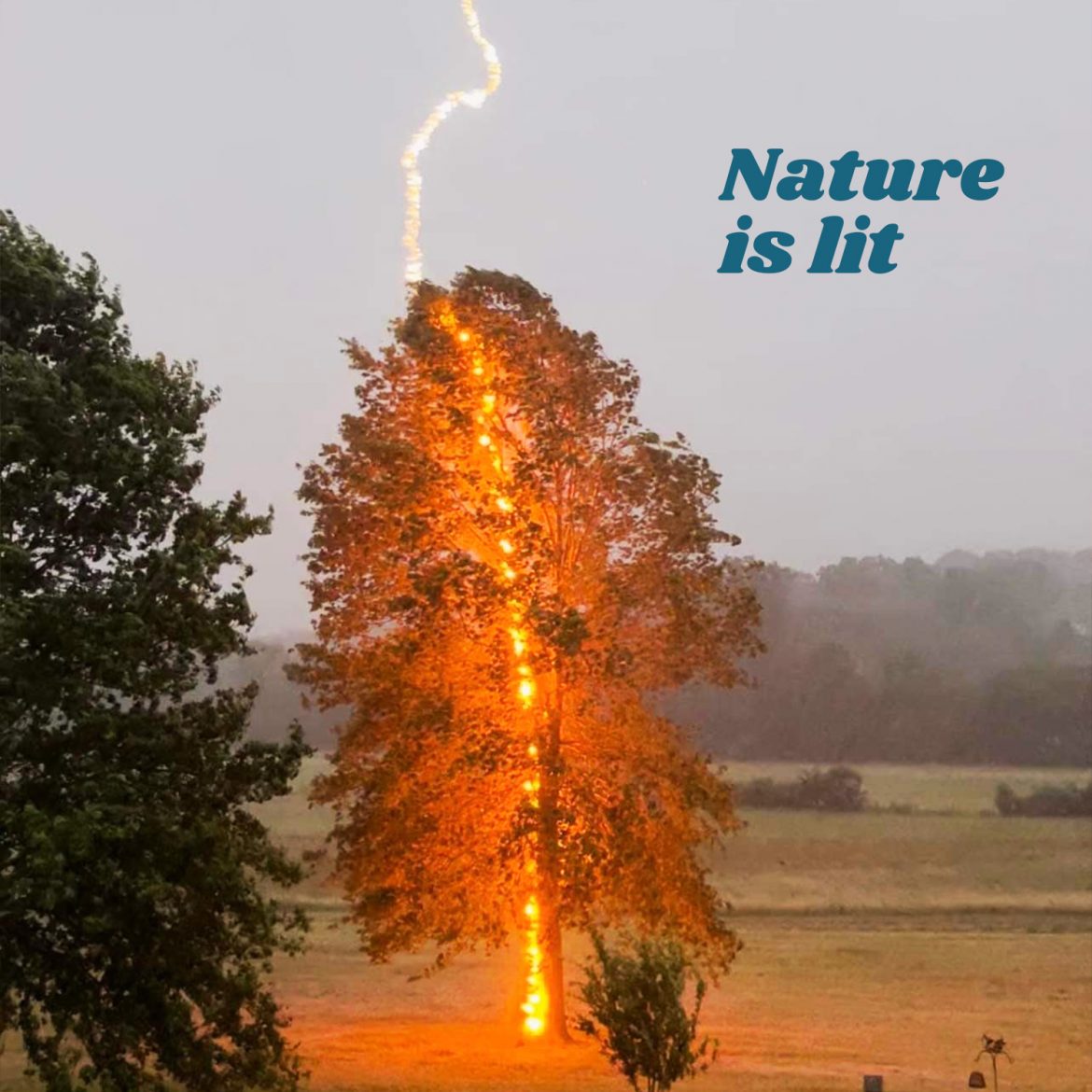 Nature is lit