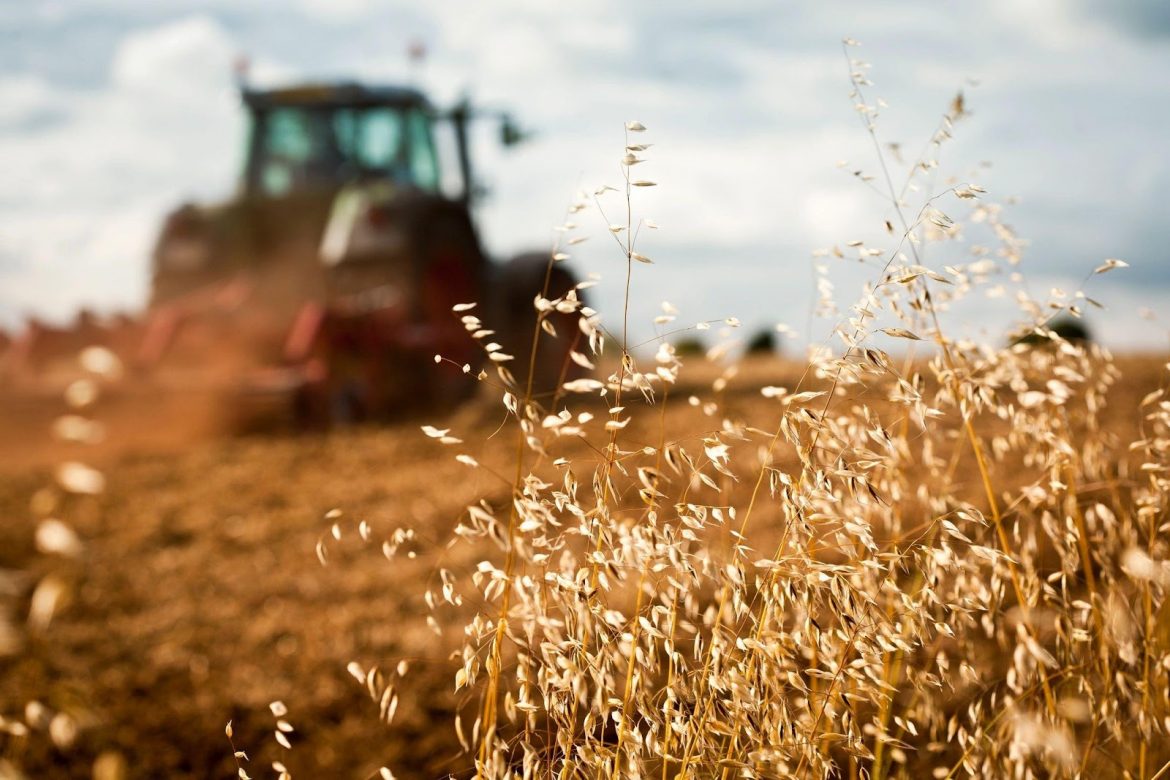 Why Is It Important To Have A Trusted Agricultural Supplier For The Farming Industry?