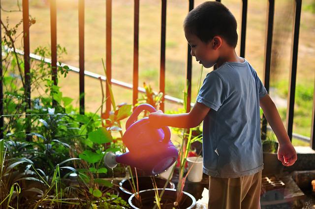 7 Tips for Teaching Your Kids About Sustainability