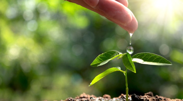 Be More Biofriendly With These 10 Water Conservation Tips