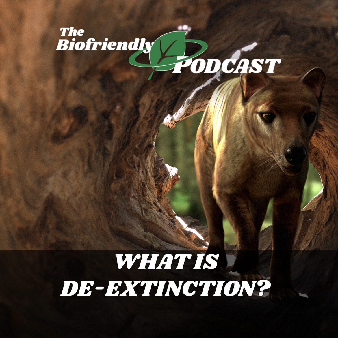 What is De-Extinction?
