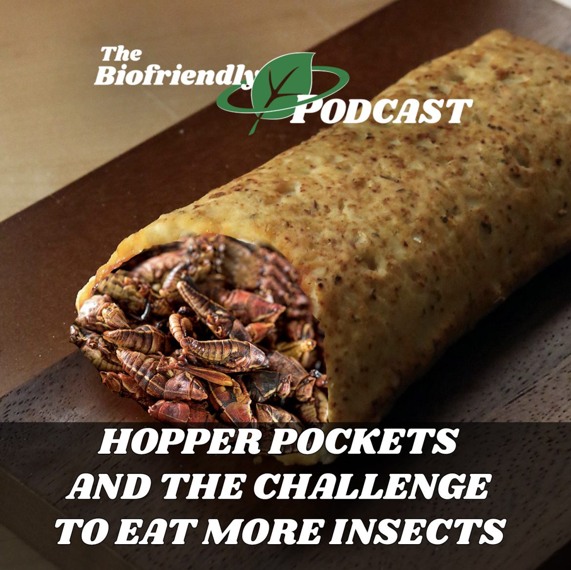 Hopper Pockets and the Challenge of Eating More Insects