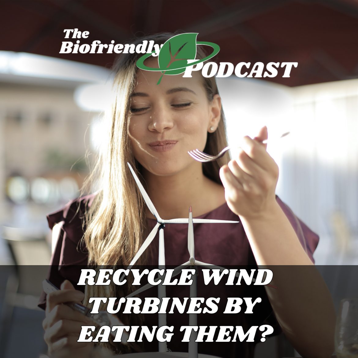 Recycle Wind Turbines By Eating Them?
