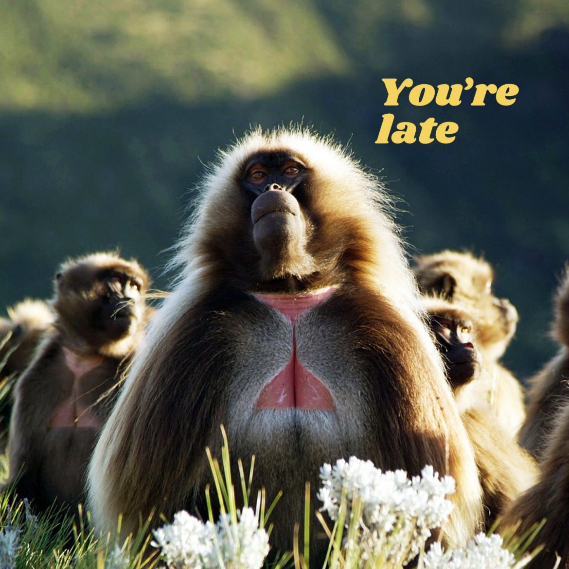 You’re late