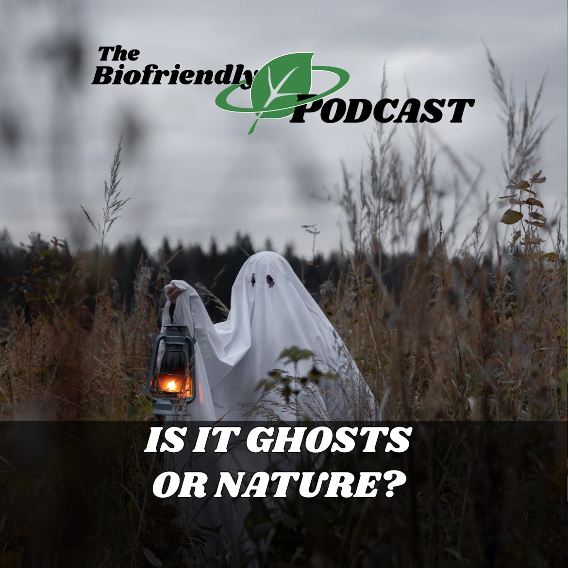 Is It Ghosts or Nature?