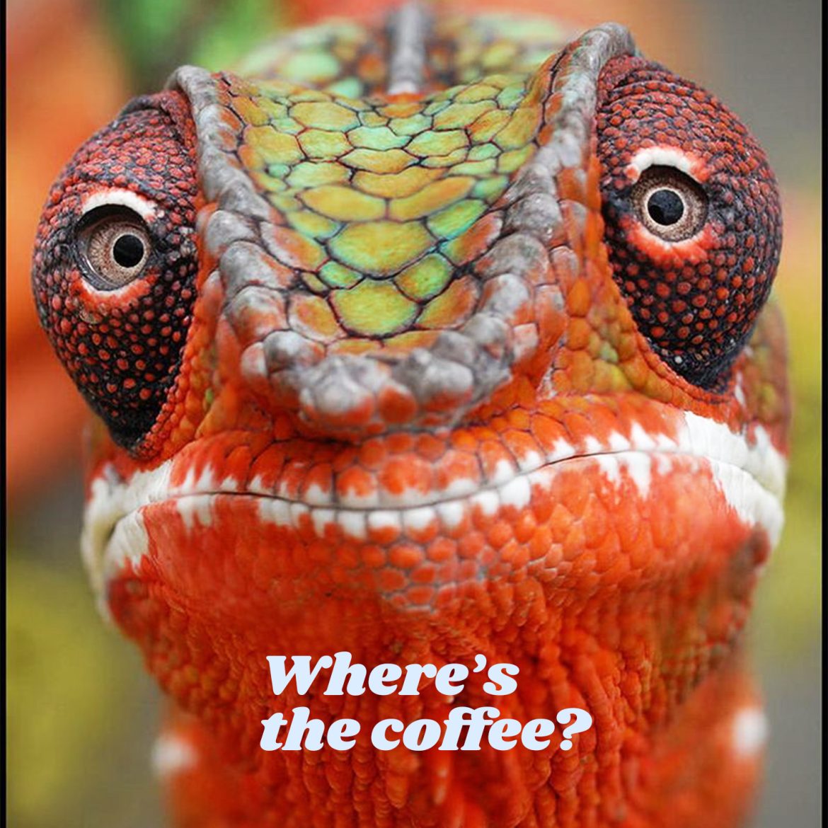 Where’s the coffee?