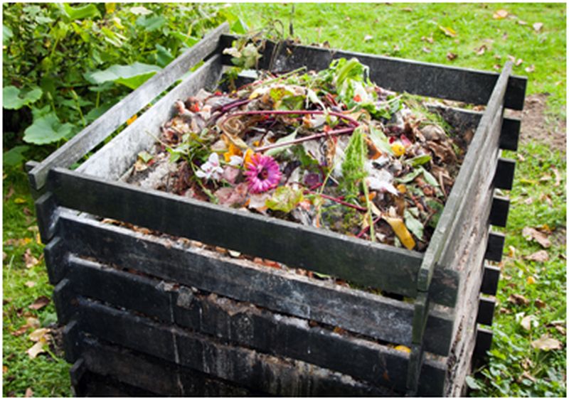 Composting for Beginners: Everything You Need to Know