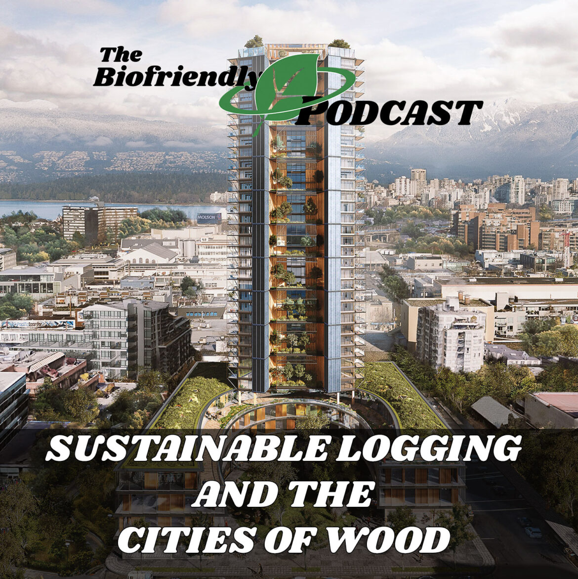Sustainable Logging and the Cities of Wood